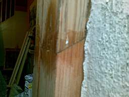 edencottages - 6024.jpg